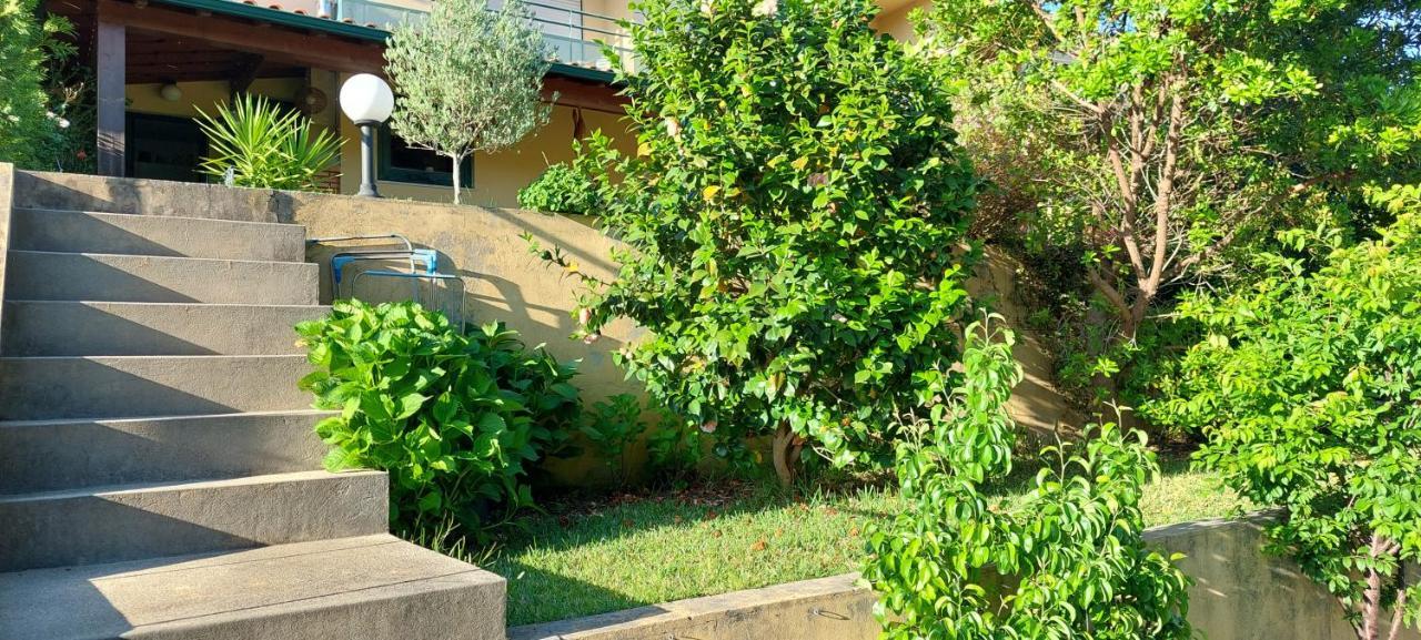Dream House By Douro Valley Rio Mau (Penafiel) Exterior foto